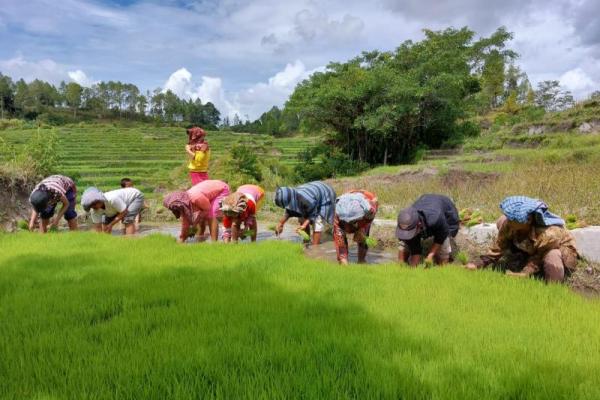 Rektor Universitas Musamus Dukung Program Cetak Sawah di Merauke