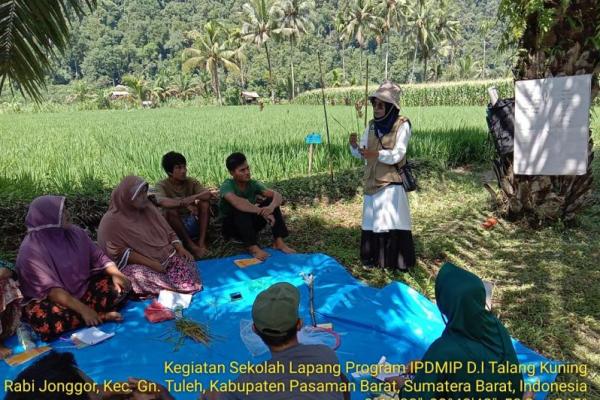 Pengetahuan tersebut disampaikan melalui kegiatan Sekolah Lapang IPDMIP yang dilaksanakan di Daerah Irigasi (DI) Talang Kuning.