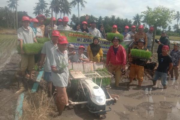 Kementan Dorong Pemanfaatan Transplanter Untuk Genjot Produksi Pertanian