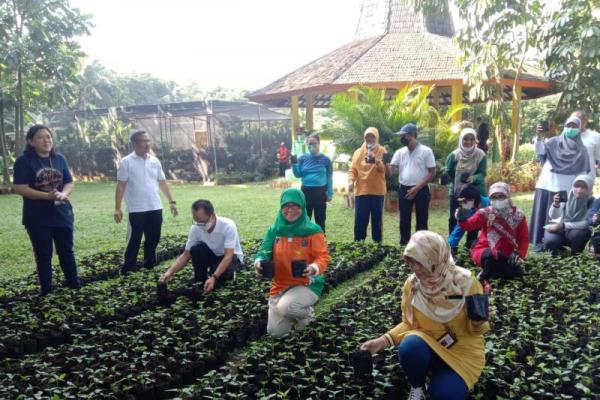 Kendalikan Inflasi, Kementan bagikan 3.500 benih cabai ke masyarakat Jakarta.