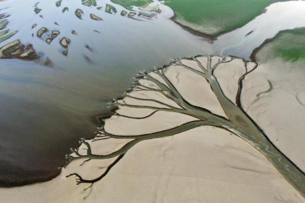 Danau Menyusut Drastis, Petani di China Terpaksa Gali Parit