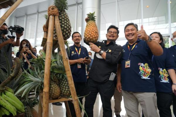 Kementan Target Cetak 630 UMKM Hortikultura.