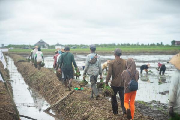 Ketua MPR RI Bambang Soesatyo (Bamsoet) mengatakan, program food estate yang dicanangkan pemerintah harus menjadi tanggung jawab bersama dalam kesuksesannya.