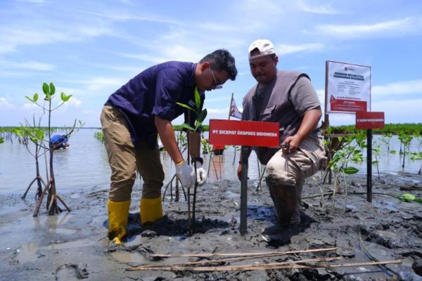 SiCepat Ekspres serius menerapkan prinsip zero-waste serta berkontribusi lebih membangun ekosistem lingkungan yang lebih hijau.