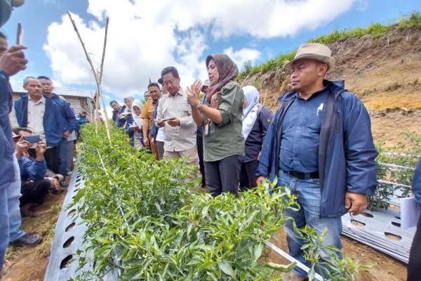 Kementan Targetkan Lembah Gumanti dan Singgalang Sumbar menjadi Kawasan Ramah Lingkungan