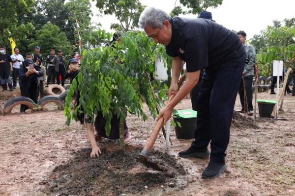 Secara nasional, gerakan penanaman pohon ini dipusatkan di Cisarua, Bogor, Jawa Barat yang dipimpin langsung oleh Menteri LHK, Siti Nurbaya.