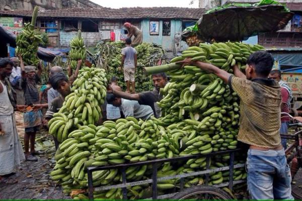 Berselisih soal Perangkat Militer dengan Ekuador, Rusia Beli Pisang dari India