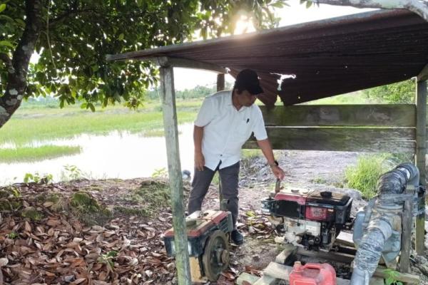 Gencarkan Pompanisasi, Kementan Pacu Produksi Padi Kaltara