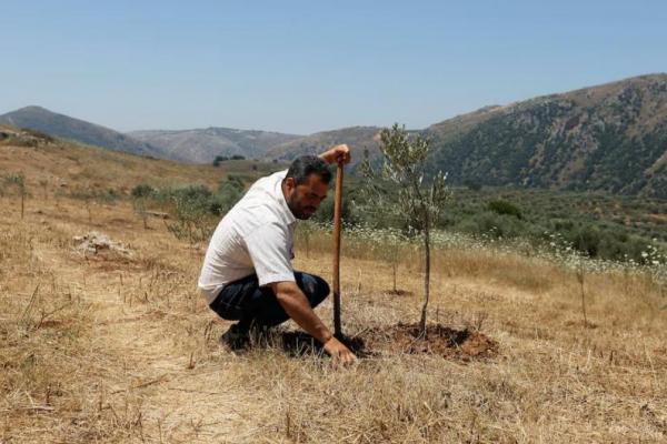 Khawatir Kontaminasi Fosfor Putih Israel di Lahannya, Petani Lebanon Kirim Sampel ke Beirut