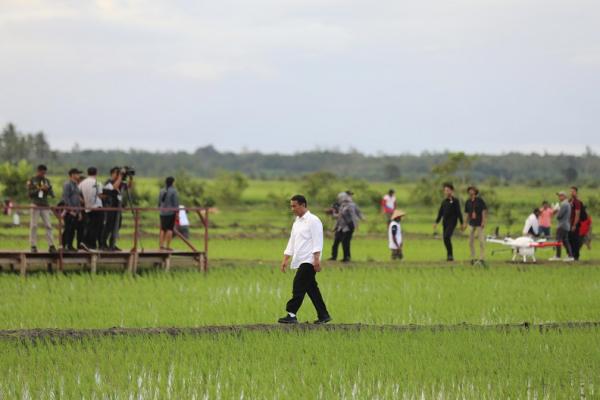 Varietas Cakrabuana Agritan merupakan jawaban bagi ketahanan pangan Indonesia di tengah ancaman perubahan iklim