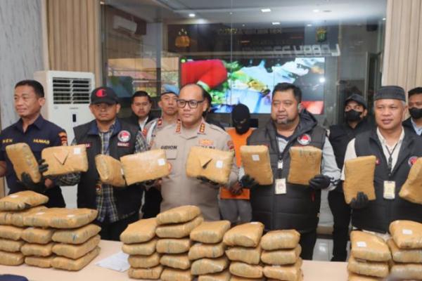 Ganja seberat 77 kilogram disita dari tangan para pengedar oleh Polres Jakarta Utara