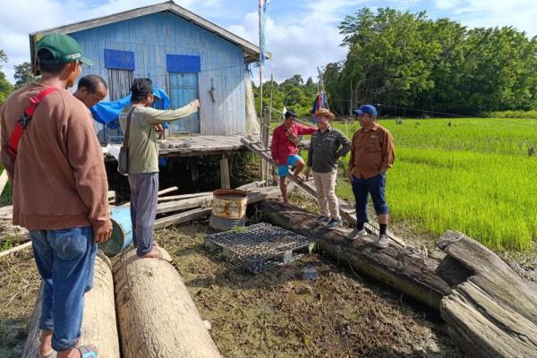 Potensi Lumbung Pangan, Kementan Akselerasi Perluasan Areal Tanam di Kaltara