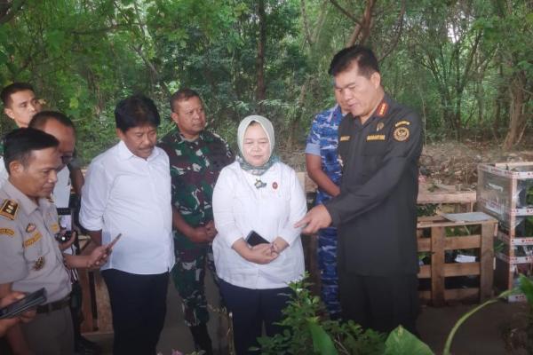 Tanaman herbal yang dikumpulkan dari 514 kabupaten dan kota di seluruh Indonesia itu, kata Sahat, telah melalui proses kompetensi dari pejabat karantina di daerahnya masing-masing