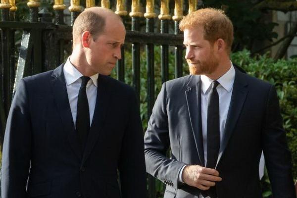 Pangeran Harry dan Pangeran William Saling Menjauh di Pemakaman Pamannya