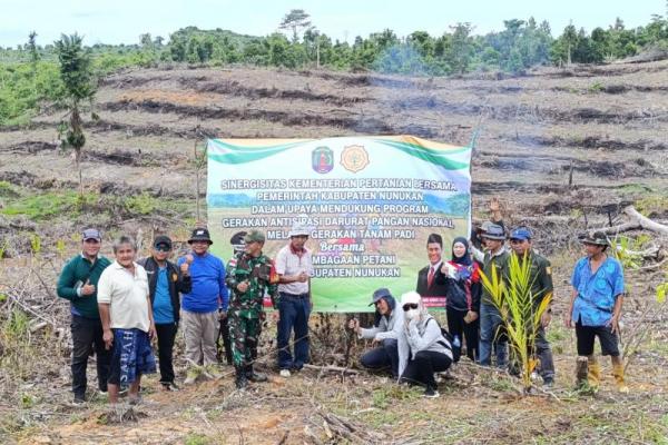 Kejar Target Produksi Beras, Kementan Pacu Padi Gogo di Kaltara