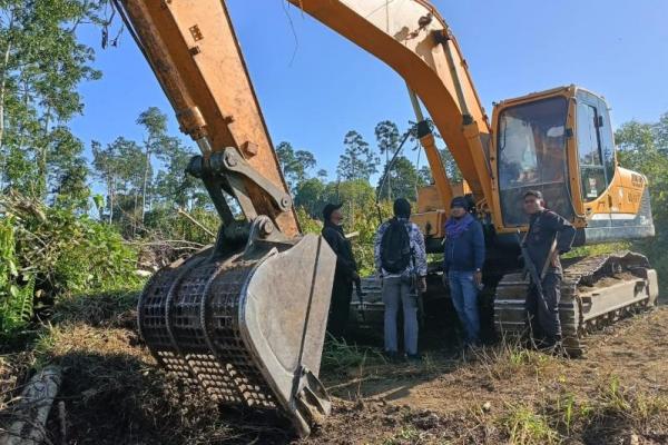 Hutan Tambora NTB Kritis gegara Aktivitas Illegal Logging