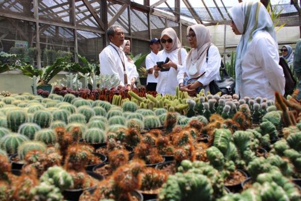 Urban Farming Dorong Ketahanan Pangan Kota Makassar