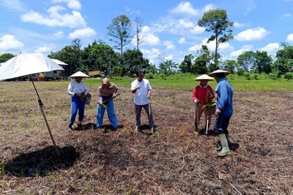 Kementan Pacu Petani Malinau Berkontribusi Perkuat Ketahanan Pangan Nasional