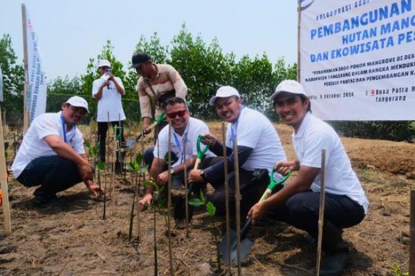 Rawat Lingkungan, ASDP Tanam 3000 Mangrove di Tangerang