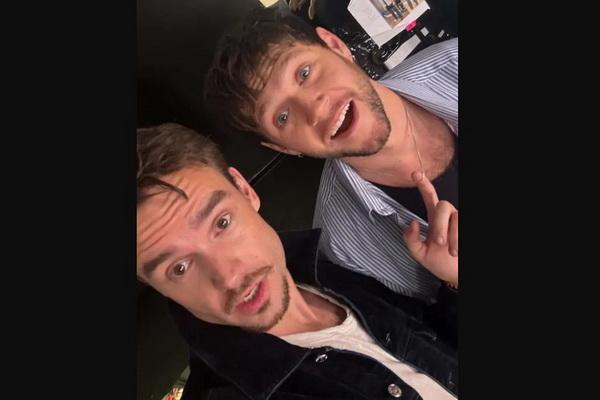 Ingin Berdamai dengan dengan Sohibnya di One Direction Niall Horan, Liam Payne Pergi ke Argentina