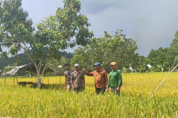 Provinsi Kalimantan Utara, khususnya Kabupaten Bulungan, menjadi salah satu daerah prioritas dalam implementasi PAT. Kementan berharap bahwa dengan memanfaatkan lahan potensial, Indonesia dapat mengatasi tantangan pangan yang kian mendesak.