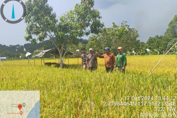 Program PAT ini ditargetkan mampu meningkatkan produksi beras nasional hingga 35 juta ton pada tahun 2024, dengan mengoptimalkan pemanfaatan lahan pertanian, khususnya di tengah tantangan krisis pangan global.