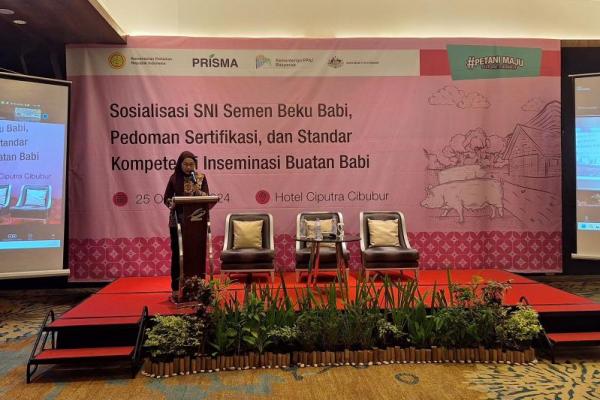 Tingkatkan Produktivitas Peternakan, Kementan Sosialisasikan SKKK Bidang Inseminasi Buatan Ternak Babi