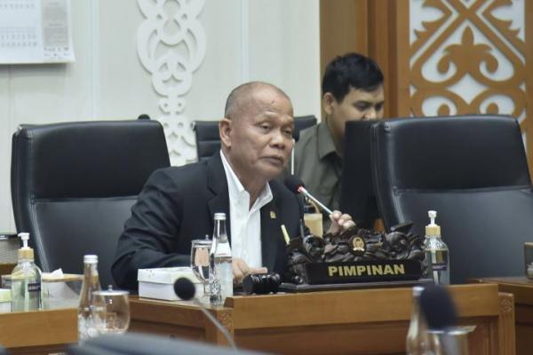 Baleg DPR Fokus Revisi UU Hak Cipta: Harus Sesuai Perkembangan Teknologi Digital