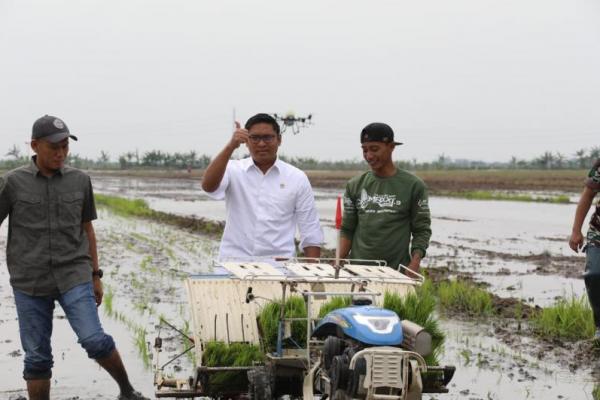 Regulasi Distribusi Pupuk Disederhanakan, Wamentan: Komitmen Presiden Prabowo