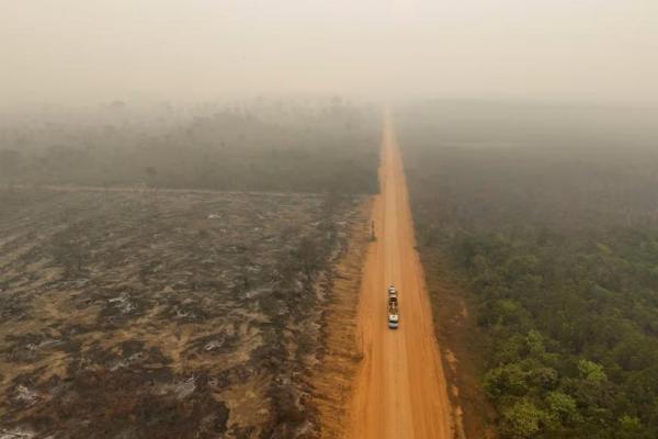 Emisi Menurun di Negara Kaya, Meningkat di Negara Berkembang