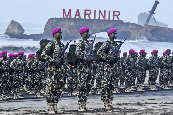 Sejarah Pembentukan Korps Marinir Indonesia, Pilar Kekuatan TNI AL