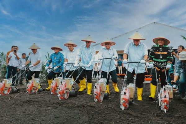 Melalui Program Tampan, PTPN III Sasar Produksi Setengah Juta Ton Gabah