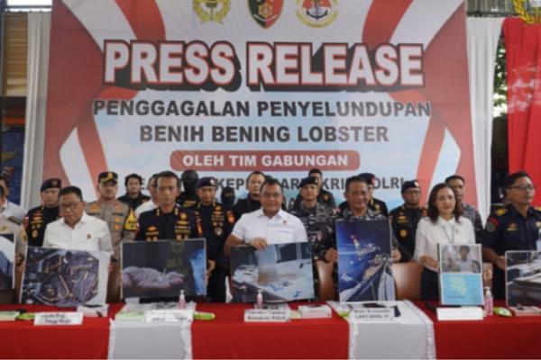 Penyelundupan Lobster Senilai 15 Miliar Lebih, Berhasil Digagalkan