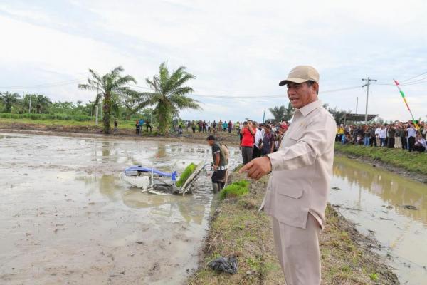 Tinjau Sawah Sumut, Mentan Pastikan Program Swasembada Pangan Berjalan Lancar