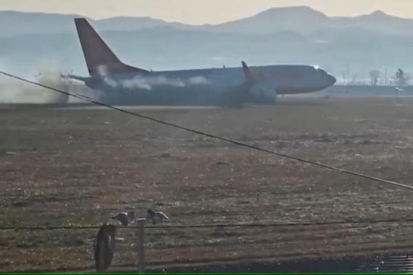 Para Ahli Pertanyakan Tabrakan Burung yang disebut Penyebab Jatuhnya Jeju Air