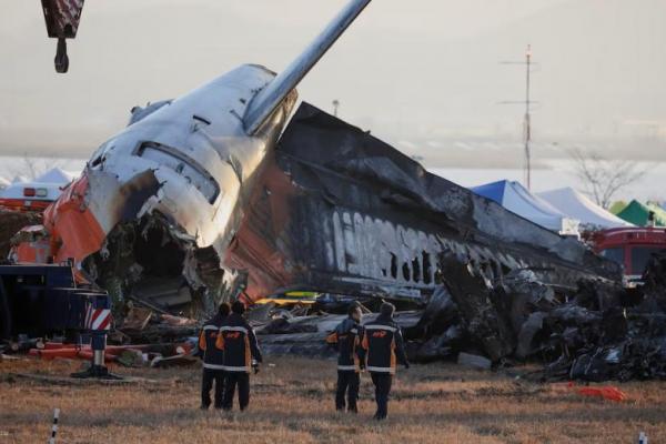 Penyelidik Kecelakaan Jeju Air Periksa Serangan Burung dan Tindakan Pilot