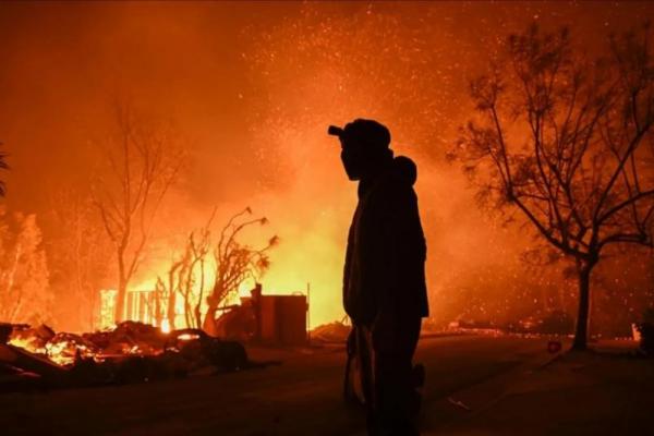 Selain Los Angeles, Ini Deretan Kebakaran Hutan Terbesar yang Pernah Terjadi