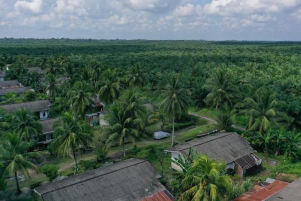 Pengacara PT PEU Bantah Tuduhan Forum Petani Terkait Kebun Plasma