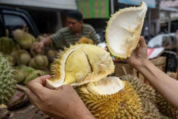 Waspada, Ini Efek Samping Kebanyakan Makan Durian Bagi Kesehatan