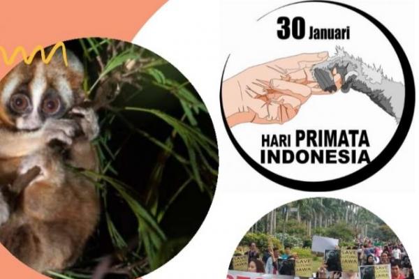 30 Januari Diperingati Hari Primata Indonesia, Ini Sejarah hingga Tujuannya 