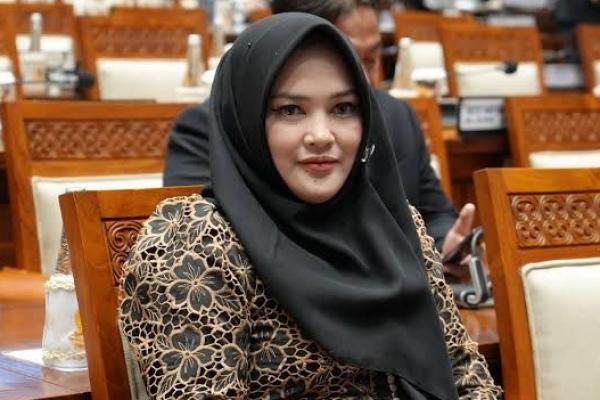 Konten Porno di Media Sosial Meresahkan, Legislator PDIP Minta Pemerintah Tindaklanjuti