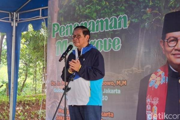 Pramono Anung Akan Buat Giant Mangrove Wall di Pesisir Jakarta