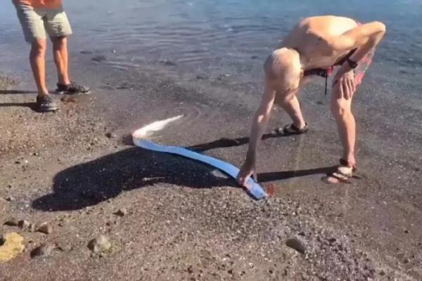 Viral Oarfish Terdampar di Meksiko, Disebut Ikan Kiamat